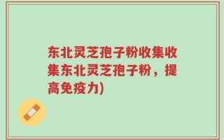 东北灵芝孢子粉收集收集东北灵芝孢子粉，提高免疫力)