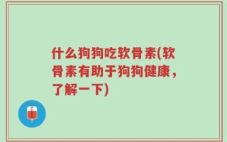 什么狗狗吃软骨素(软骨素有助于狗狗健康，了解一下)