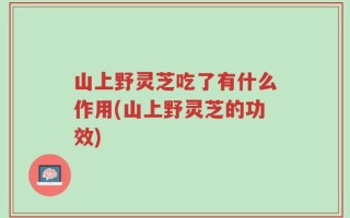山上野灵芝吃了有什么作用(山上野灵芝的功效)