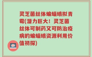 灵芝菌丝体蝙蝠蛾拟青霉(潜力巨大！灵芝菌丝体可制药又可防治疫病的蝙蝠蛾资源利用价值初探)
