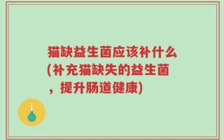 猫缺益生菌应该补什么(补充猫缺失的益生菌，提升肠道健康)