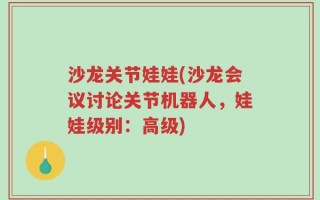 沙龙关节娃娃(沙龙会议讨论关节机器人，娃娃级别：高级)