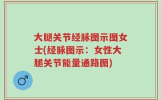 大腿关节经脉图示图女士(经脉图示：女性大腿关节能量通路图)