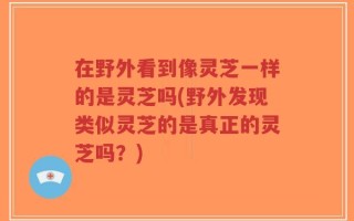 在野外看到像灵芝一样的是灵芝吗(野外发现类似灵芝的是真正的灵芝吗？)