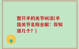 整只手的关节叫法(手指关节名称全解：你知道几个？)