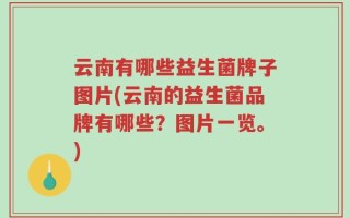 云南有哪些益生菌牌子图片(云南的益生菌品牌有哪些？图片一览。)