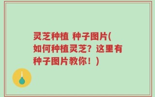 灵芝种植 种子图片(如何种植灵芝？这里有种子图片教你！)