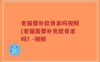 老猫要补软骨素吗视频(老猫需要补充软骨素吗？-视频