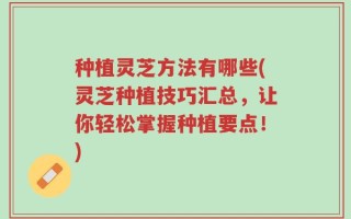 种植灵芝方法有哪些(灵芝种植技巧汇总，让你轻松掌握种植要点！)