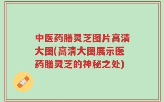 中医药膳灵芝图片高清大图(高清大图展示医药膳灵芝的神秘之处)