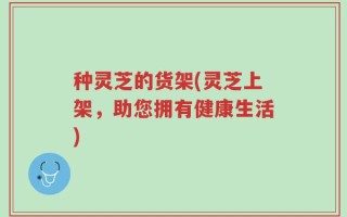 种灵芝的货架(灵芝上架，助您拥有健康生活)