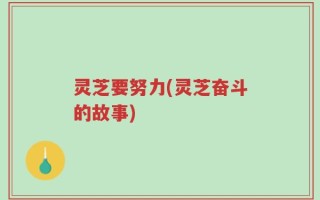 灵芝要努力(灵芝奋斗的故事)
