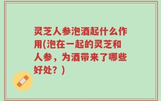 灵芝人参泡酒起什么作用(泡在一起的灵芝和人参，为酒带来了哪些好处？)