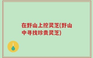 在野山上挖灵芝(野山中寻找珍贵灵芝)