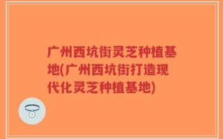广州西坑街灵芝种植基地(广州西坑街打造现代化灵芝种植基地)