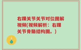 右踝关节关节对位图解视频(视频解析：右踝关节骨骼结构图。)
