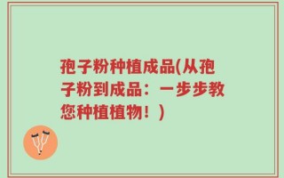 孢子粉种植成品(从孢子粉到成品：一步步教您种植植物！)