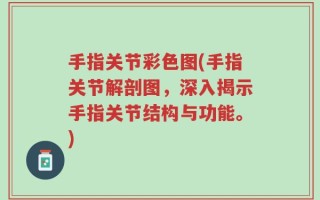 手指关节彩色图(手指关节解剖图，深入揭示手指关节结构与功能。)