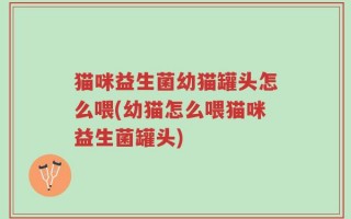 猫咪益生菌幼猫罐头怎么喂(幼猫怎么喂猫咪益生菌罐头)