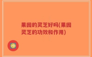 果园的灵芝好吗(果园灵芝的功效和作用)