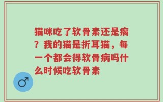 猫咪吃了软骨素还是瘸？我的猫是折耳猫，每一个都会得软骨病吗什么时候吃软骨素
