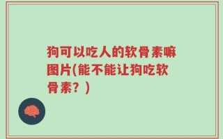 狗可以吃人的软骨素嘛图片(能不能让狗吃软骨素？)