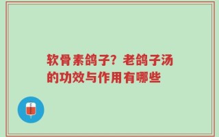 软骨素鸽子？老鸽子汤的功效与作用有哪些