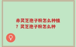 赤灵芝孢子粉怎么种植？灵芝孢子粉怎么种