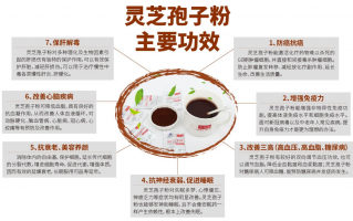 长期喝灵芝孢子粉的好处都有哪些？它很适合为健康护航