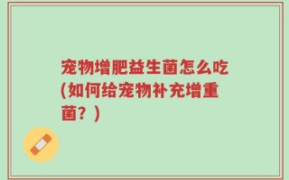 宠物增肥益生菌怎么吃(如何给宠物补充增重菌？)