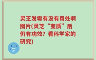 灵芝发霉有没有用处啊图片(灵芝“变质”后仍有功效？看科学家的研究)