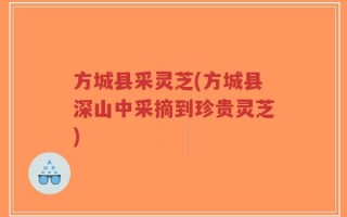 方城县采灵芝(方城县深山中采摘到珍贵灵芝)