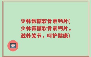 少林氨糖软骨素钙片(少林氨糖软骨素钙片，滋养关节，呵护健康)