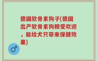德国软骨素狗子(德国出产软骨素狗粮受欢迎，能给犬只带来保健效果)