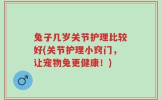 兔子几岁关节护理比较好(关节护理小窍门，让宠物兔更健康！)