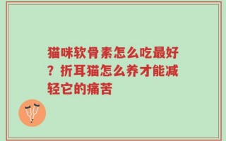 猫咪软骨素怎么吃最好？折耳猫怎么养才能减轻它的痛苦