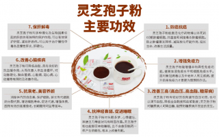 灵芝孢子粉和灵芝粉有哪些区别？作用上差距大吗？
