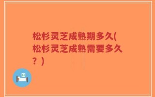 松杉灵芝成熟期多久(松杉灵芝成熟需要多久？)