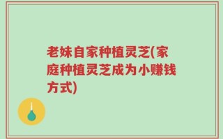 老妹自家种植灵芝(家庭种植灵芝成为小赚钱方式)