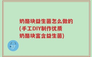 奶酪块益生菌怎么做的(手工DIY制作优质奶酪块富含益生菌)
