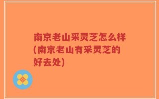 南京老山采灵芝怎么样(南京老山有采灵芝的好去处)