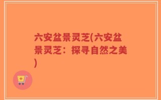 六安盆景灵芝(六安盆景灵芝：探寻自然之美)