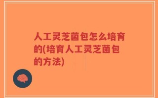 人工灵芝菌包怎么培育的(培育人工灵芝菌包的方法)