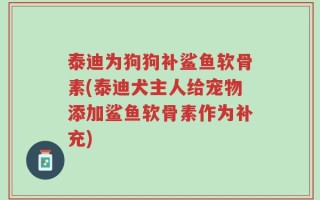 泰迪为狗狗补鲨鱼软骨素(泰迪犬主人给宠物添加鲨鱼软骨素作为补充)