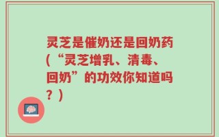 灵芝是催奶还是回奶药(“灵芝增乳、清毒、回奶”的功效你知道吗？)