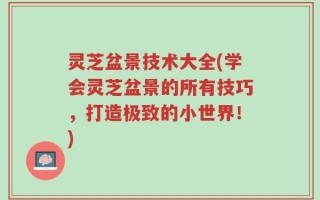 灵芝盆景技术大全(学会灵芝盆景的所有技巧，打造极致的小世界！)
