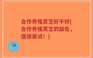 合作养殖灵芝好不好(合作养殖灵芝的益处，值得尝试！)