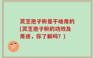 灵芝孢子粉是干啥用的(灵芝孢子粉的功效及用途，你了解吗？)