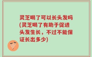 灵芝喝了可以长头发吗(灵芝喝了有助于促进头发生长，不过不能保证长出多少)