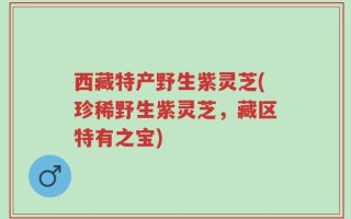 西藏特产野生紫灵芝(珍稀野生紫灵芝，藏区特有之宝)